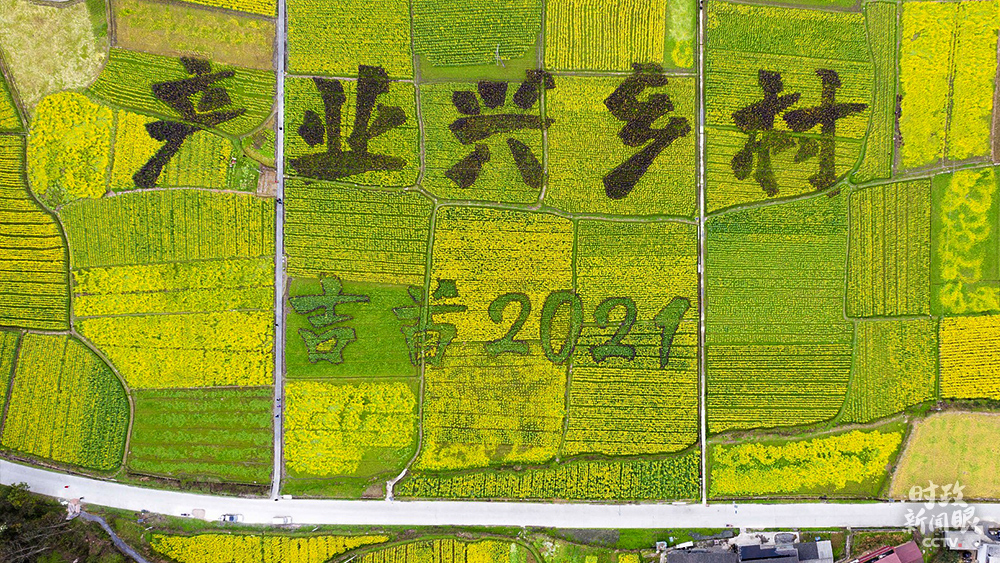 △2021年3月4日，湖南吉首市矮寨镇，油菜花田绘制巨幅“产业兴乡村”字样。